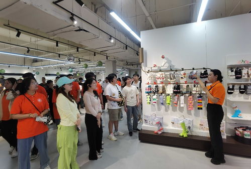 吉林省大學(xué)生走進遼源 創(chuàng)業(yè)就業(yè)雙選實踐活動成功舉辦，勞務(wù)派遣服務(wù)助力人才對接